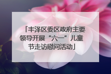 丰泽区委区政府主要领导开展“六一”儿童节走访慰问活动