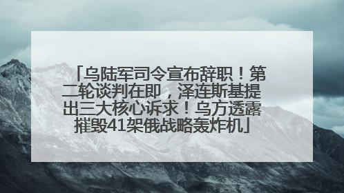 乌陆军司令宣布辞职！第二轮谈判在即，泽连斯基提出三大核心诉求！乌方透露摧毁41架俄战略轰炸机