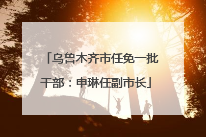乌鲁木齐市任免一批干部：申琳任副市长