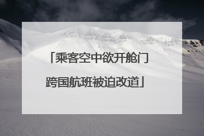 乘客空中欲开舱门 跨国航班被迫改道