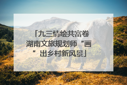 九三情绘共富卷 湖南文旅规划师“画”出乡村新风景