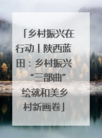 乡村振兴在行动丨陕西蓝田：乡村振兴 “三部曲” 绘就和美乡村新画卷