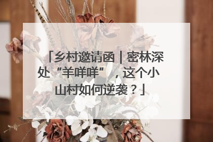 乡村邀请函｜密林深处“羊咩咩”，这个小山村如何逆袭？