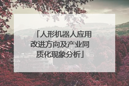 人形机器人应用改进方向及产业同质化现象分析
