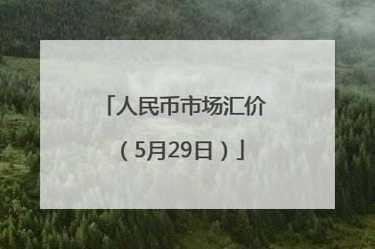 人民币市场汇价（5月29日）