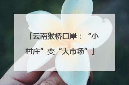 云南猴桥口岸：“小村庄”变“大市场”