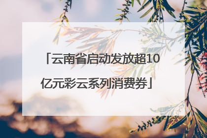 云南省启动发放超10亿元彩云系列消费券