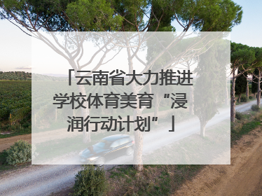 云南省大力推进学校体育美育“浸润行动计划”