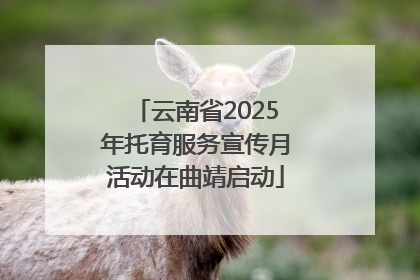 云南省2025年托育服务宣传月活动在曲靖启动