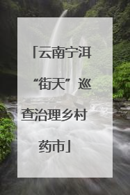 云南宁洱“街天”巡查治理乡村药市
