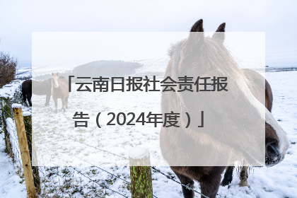 云南日报社会责任报告（2024年度）