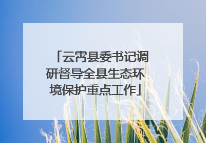 云霄县委书记调研督导全县生态环境保护重点工作