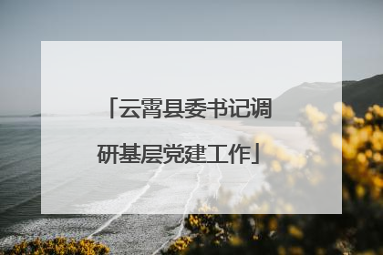 云霄县委书记调研基层党建工作
