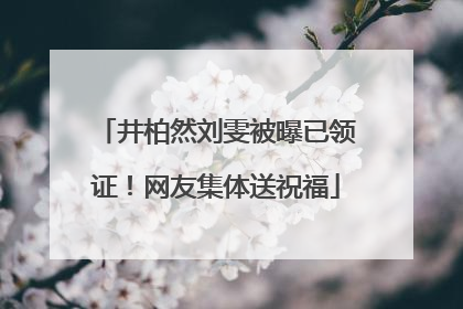 井柏然刘雯被曝已领证！网友集体送祝福