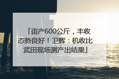 亩产600公斤，丰收态势良好！卫辉：机收比武田现场测产出结果