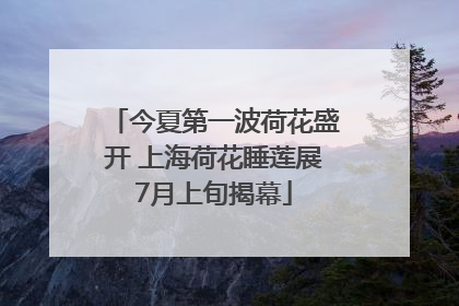 今夏第一波荷花盛开 上海荷花睡莲展7月上旬揭幕