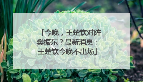 今晚，王楚钦对阵樊振东？最新消息：王楚钦今晚不出场
