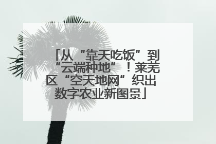 从“靠天吃饭”到“云端种地”！莱芜区“空天地网”织出数字农业新图景