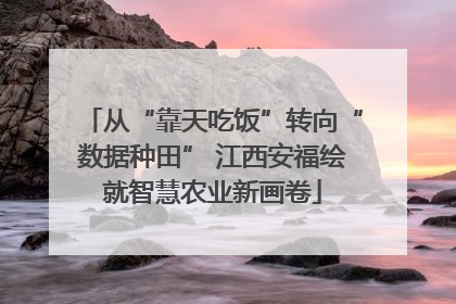 从“靠天吃饭”转向“数据种田” 江西安福绘就智慧农业新画卷