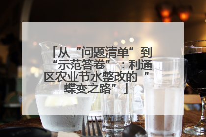 从“问题清单”到“示范答卷”：利通区农业节水整改的“蝶变之路”