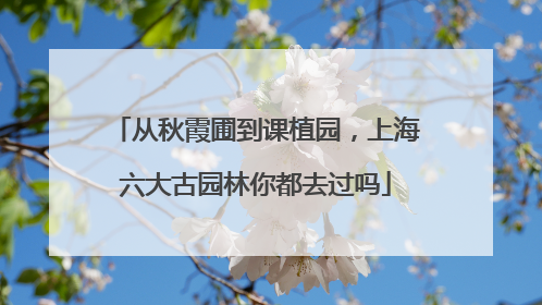 从秋霞圃到课植园，上海六大古园林你都去过吗