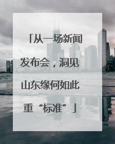 从一场新闻发布会，洞见山东缘何如此重“标准”