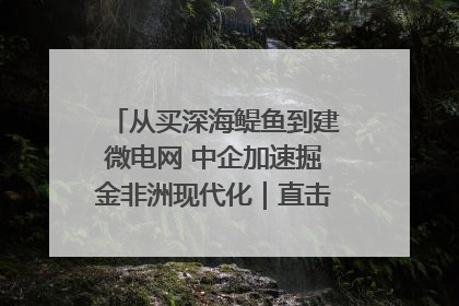 从买深海鳀鱼到建微电网 中企加速掘金非洲现代化｜直击中非经贸博览会