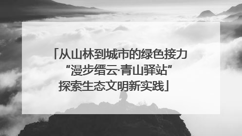 从山林到城市的绿色接力 “漫步缙云·青山驿站”探索生态文明新实践