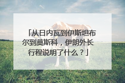 从日内瓦到伊斯坦布尔到莫斯科，伊朗外长行程说明了什么？