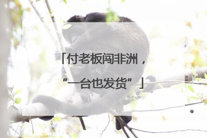 付老板闯非洲，“一台也发货”