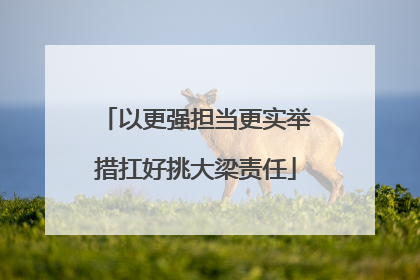 以更强担当更实举措扛好挑大梁责任