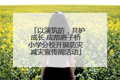 以演筑防，共护成长 成都磨子桥小学分校开展防灾减灾宣传周活动