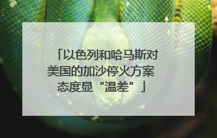 以色列和哈马斯对美国的加沙停火方案态度显“温差”