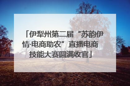 伊犁州第二届“苏韵伊情·电商助农”直播电商技能大赛圆满收官