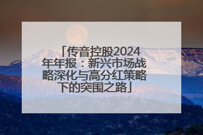 传音控股2024年年报：新兴市场战略深化与高分红策略下的突围之路