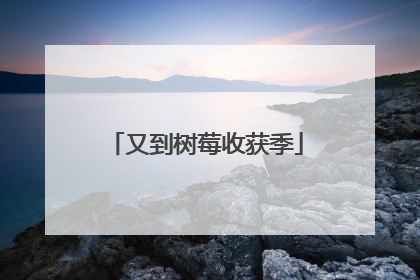 又到树莓收获季