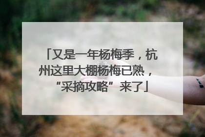 又是一年杨梅季，杭州这里大棚杨梅已熟，“采摘攻略”来了