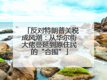 反对特朗普关税成风潮：从华尔街大佬蔓延到原住民的“合围”