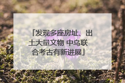发现多座房址、出土大量文物 中乌联合考古有新进展