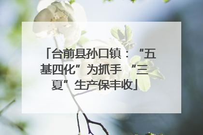台前县孙口镇：“五基四化”为抓手 “三夏”生产保丰收