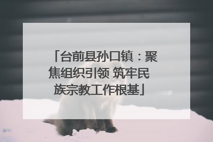 台前县孙口镇：聚焦组织引领 筑牢民族宗教工作根基