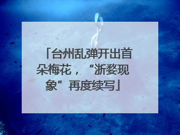 台州乱弹开出首朵梅花，“浙婺现象”再度续写