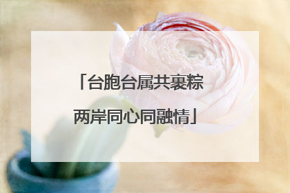 台胞台属共裹粽 两岸同心同融情