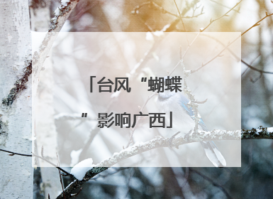 台风“蝴蝶”影响广西