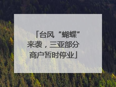 台风“蝴蝶”来袭，三亚部分商户暂时停业