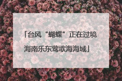 台风“蝴蝶”正在过境海南乐东莺歌海海域