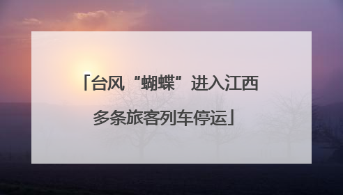 台风“蝴蝶”进入江西 多条旅客列车停运