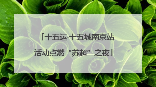 十五运·十五城南京站活动点燃“苏超”之夜