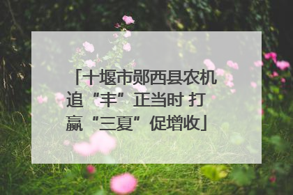 十堰市郧西县农机追“丰”正当时 打赢“三夏”促增收