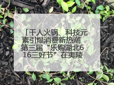 千人火锅、科技元素引爆消费新热潮 第三届“乐购湖北616三好节”在夷陵区盛大启幕